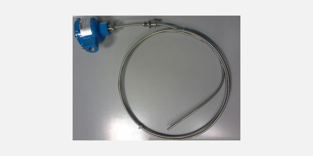 Double Pt100 Atex temperature probe